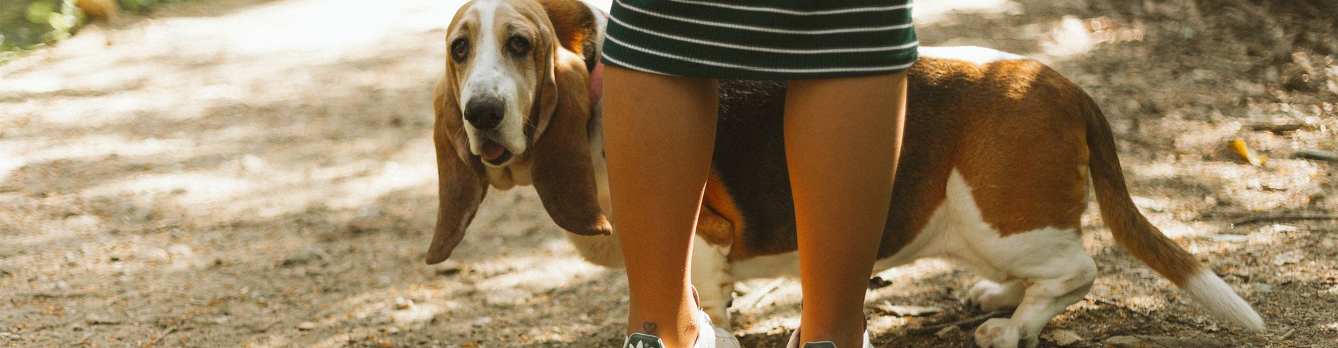 Een vernieuwende manier van samenwerken