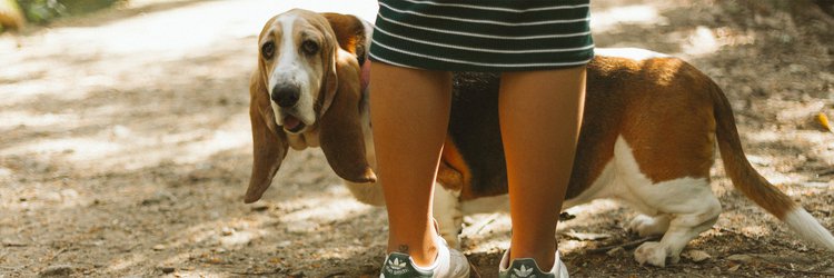 Een vernieuwende manier van samenwerken