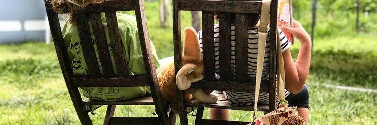 Voorgestelde oplossing voor de jeugdzorg concreet